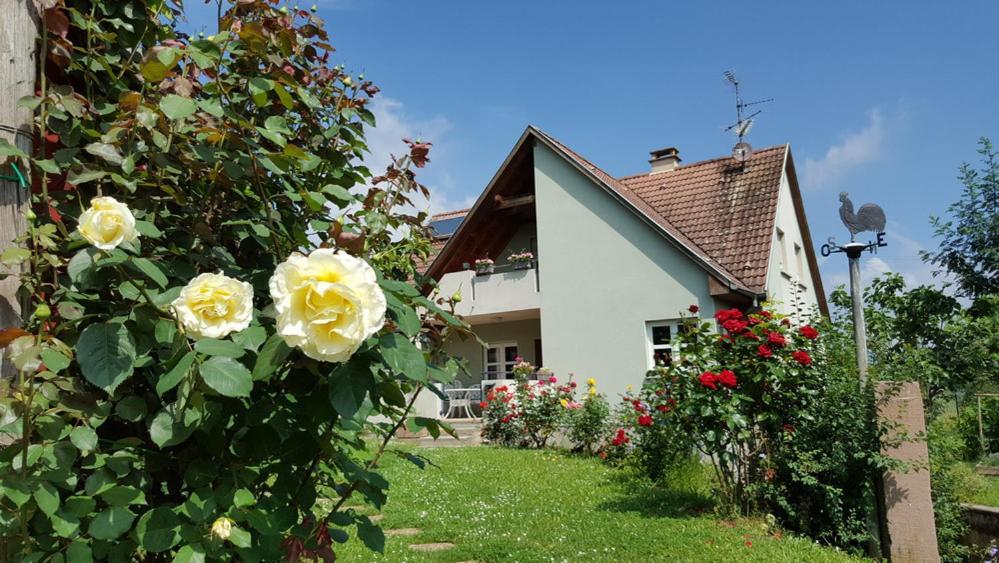 Le Gm Chambres D'Hotes De Charme En Alsace Mittelwihr Exterior photo
